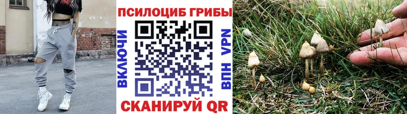 продажа наркотиков  Лукоянов  Псилоцибиновые грибы мухоморы 